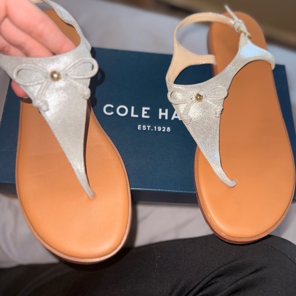 Cole Haan Women's Silver and Tan Sandals